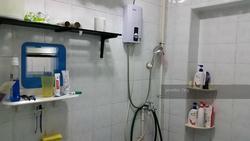 Blk 166 Gangsa Road (Bukit Panjang), HDB 4 Rooms #134890652